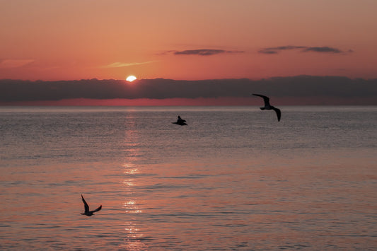 Embrace The Dawn - Horizontal Wall Art - Roberto Destarac Photography