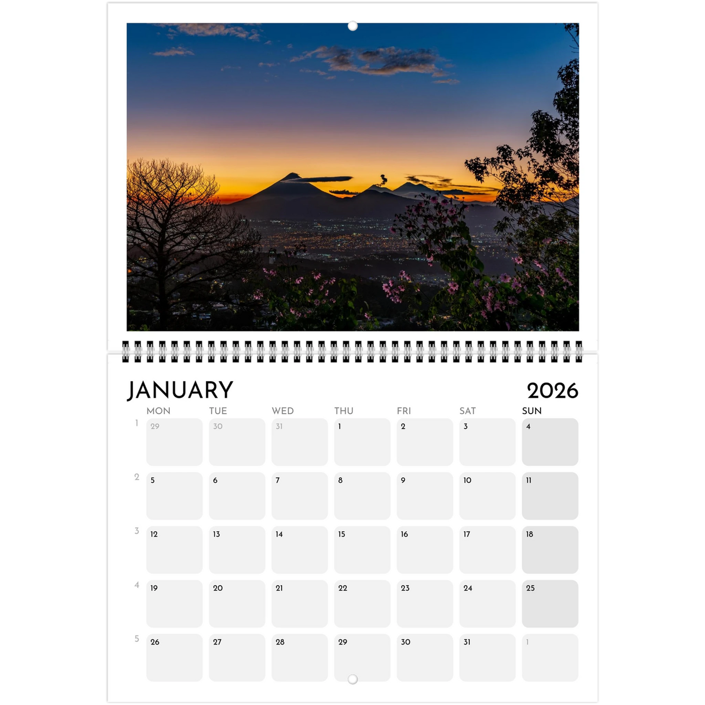 7042b309-6c11-41fc-b08b-f78d4d20b42a