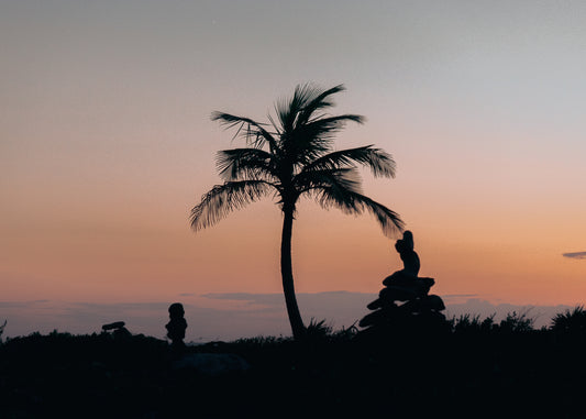 Sunset Palm Tree - Digital Print - Roberto Destarac Photography